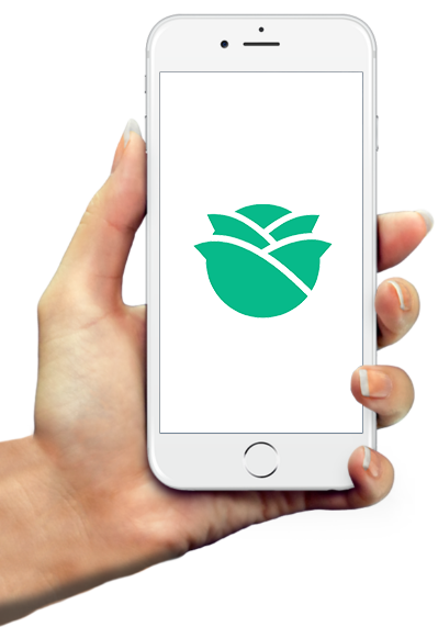 Hand-with-logo
